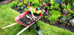 Check spelling or type a new query. What Is The Best Mulch For Weed Prevention Mccarty Mulch