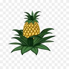 Shelly saw a tree like this on a recent cruise and took a photo. Drawing Tree Pineapple Fruit Legume Fruit Vegetable Branch Plants Flower Pineapple Fruit Legume Png Pngwing
