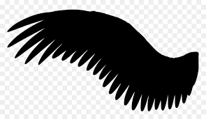 Extend a curved line from the top of the wing and the bottom of the concave edge. Black Angel Wings Side View Hd Png Download Vhv