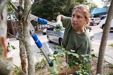 09-17-2026 Proper Pruning Techniques for Trees and Shrubs