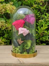 Lifelong preserved flower from beaty and the beast fairy tale. Forever Roses Large Forever Rose Dome