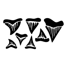 Black And White Shark Teeth Clipart Shark Teeth Fish Cuttable Design Svg Png Dxf Eps Designs Etsy In 2020 School Signs Shark Teeth Last Day Of School
