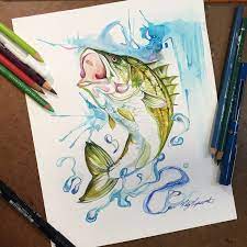 The more you know about your prey, the more likely you are to catch the prize, so here are some helpful tips for anglers just beginning their largemouth bass fishing journey. 360 Striped Bass Fish Drawings Striped Bass Fish Pencil Drawing
