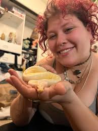 Woodland Scene Scapes