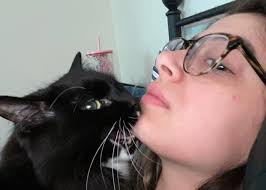 Do Cats Have 9 Lives? Baskets