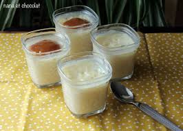 J Utilise Souvent Ma Yaourtiere Pour Preparer Des Petits Desserts Rapides Tels Que Des Flans Des Cremes Brulees Riz Au Lait Recette Yaourt Riz Au Lait Cremeux