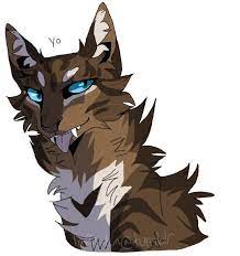 koty voiteli znamenie zvyozd kot zvezda