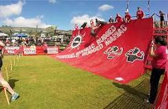 Image result