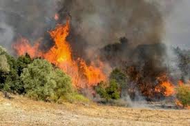 Μεγάλη φωτιά βρίσκεται αυτή τη στιγμή σε εξέλιξη, σε δασική έκταση στην περιοχή ζήρια, του δήμου αιγιαλείας αχαΐας. Fwtia Twra Sthn Axaia Ekkenwnetai O Oikismos Anw Zhria Aigialeias Newsbeast