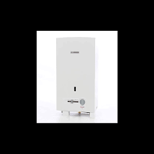 749 Lei Instant Bosch Gaz Wr11 2p23