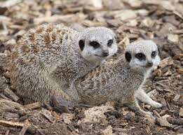 file_3454x2552_036011