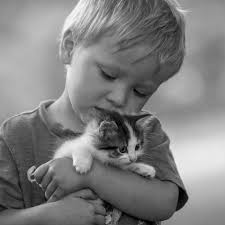 Don Blane (@don_blane)