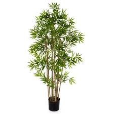 Pin Auf Kunstpflanzen Artificial Plants