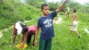 Lluvia de peces en yoro: Lluvia De Peces En Yoro Honduras