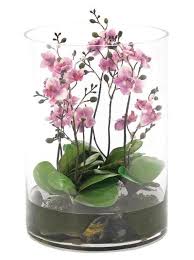 Pin On Terrariums
