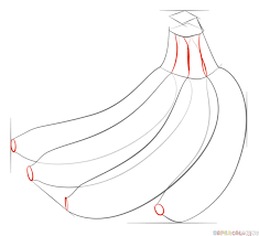 How To Draw A Bunch Of Bananas Step By Step Drawing Tutorials For Kids And Beginners Drawing Tutorial Fruits Drawing Fruit Sketch