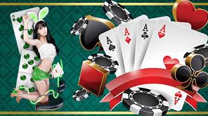 5 Reasons to Play JUDI POKER ONLINE