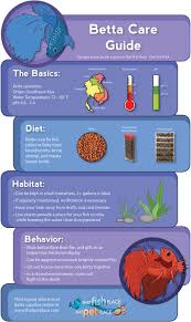 Learning how often to change the water in your betta tank, and how to change it is the most important factor in the long term health of your fish. Betta Care Infographic Thatpetplace Com Betta Fish Care Betta Fish Tank Fish Care
