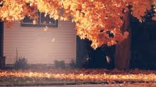 We regularly add new gif animations about and. Animated Falling Leaves Background Gifs Tenor