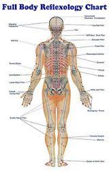 Types Of Reflexology Reflexology Massage Reflexology Body Reflexology