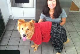 Identify new ways and best practices for crowdfunding resources for pets in crisis, helping organizations like yours understand how to make the most of every moment spent on the issue. Welcome To Oc Animal Allies