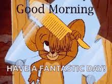 Always welcome a new day with… Funny Good Morning Gifs Tenor
