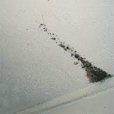 Painting over bathroom ceiling mold. Home Dzine Bathrooms Quick Tip Get Rid Of Ceiling Mould