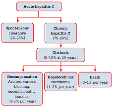 Racgp Hepatitis C An Update