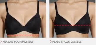 How To Measure Bra Sizes Correctly Video Instructions The Whoot Bra Bra Fitting Guide Measure Bra Size