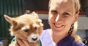 Road testing Illawarra's first doggy day care for elderly and infirm  pooches