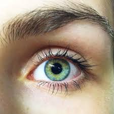 Green Eyes But Not Just Green Green With Heterochromia It Took Me Only A Few Minutes To Find The Eyes I Remember Staring Yesil Gozler Goz Rengi Gozler