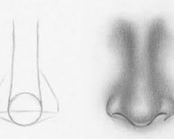 Art projects for kids is a collection of fun and easy art projects that include hundreds of how to draw tutorials. How To Draw A Nose For Kid Archives How To Draw Step By Step