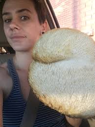 Cloning wild lion's mane mushrooms