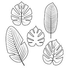 Black And White Outline Black And White Leaf Clipart Tropical Palm Leaves Isolated On White Background Outline Vector Leaf Drawing Leaf Art Leaves Illustration