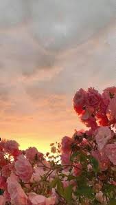Best Live Wallpapers For Iphone Xr Wallpaper Iphone X Hello Kitty Save Wallpapers For Iph Nature Iphone Wallpaper Wallpaper Tumblr Lockscreen Iphone Wallpaper