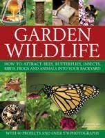 Leave wild areas or rough patches. Garden Wildlife How To Attract Bees Butterflies Insects Birds Frogs And Animals Into Your Backyard Lavelle Michael Lavelle Christine Dussmann Das Kulturkaufhaus