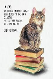Cat Quote By Ernest Hemingway By Zapista Ou Cat Quotes Cat Lover Quote Hemingway Quotes
