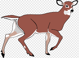 Check spelling or type a new query. Deer Clock S Antler Mammal Cow Goat Family Png Pngwing