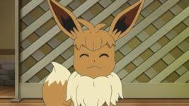 Eevee New Look Hairstyle Got A Haircut Eevee Pokemon Eeveelutions Anime