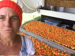 Open Ridge Farm Hot Sauce Trifecta