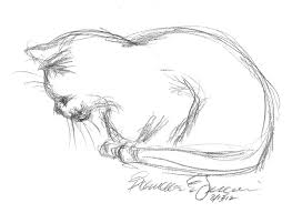 Daily Sketch Kelly Napping Cat Sketch Animal Sketches Art