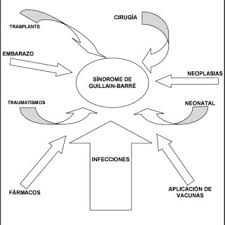 Pathogenesis, diagnosis, treatment and prognosis. Eventos Que Pueden Preceder La Aparicion Del Sindrome De Guillain Barre Download Scientific Diagram