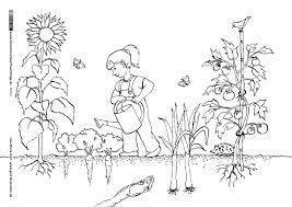 Garten gartenarbeit draussen spielen kindergartenbilder kinder basteln und malen gartenarbeit. Pin Auf Bilder