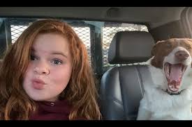 Fundraiser by Maddie Welshans : Ruger's Emergency Surgery