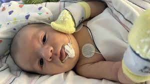 Fundraiser by Nate Dibble : Ryan's road to recovery