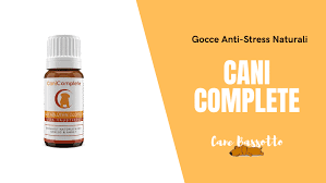 E' vero che si suggerisce per esempio, tutti i cani, anche quelli con la faccia da poker, assai poco espressivi, inviano i cosiddetti segnali calmanti (calming signals), che. R Psdz Pxxedm