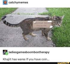 Catchymemes ªiadiesgamesboomboxtherapy Khajiit Has Wares If You Have Coin Ifunny In 2020 Skyrim Funny Skyrim Memes Funny