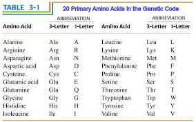 20 amino acids chart the 20 amino acids specified by the