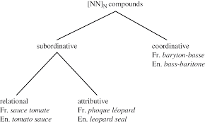 | meaning, pronunciation, translations and examples Noun Noun Compounds Part Ii The Semantics Of Compounding