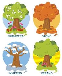 Pin En Asambleas